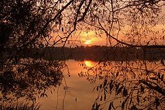 photo "***"