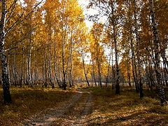 фото "Золотая осень"