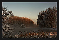 photo "Landscape_995"