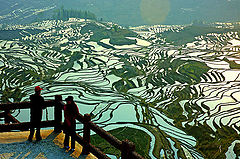 фото "Yuan Yang"