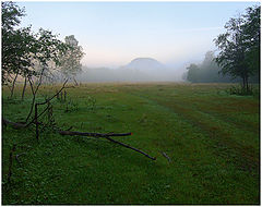 photo "***"