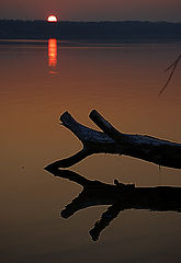 photo "***"