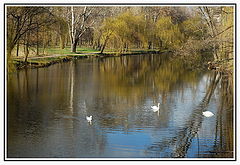 photo "***"