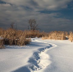 фото "На зимней реке"