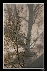 photo "Wrong Shadow"