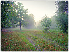 photo "***"