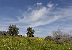 photo "Windy sky"