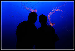 photo "***"