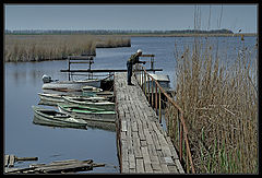 photo "***"