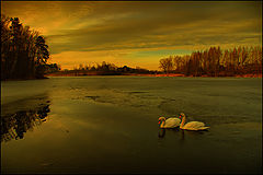 photo "***"