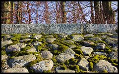 фото "М.О.Х"