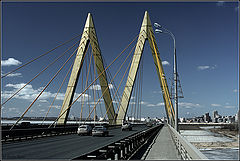 фото "M"