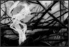photo "***"