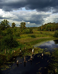 photo "***"