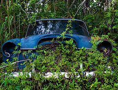 photo "A car from  my dreams"