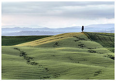 photo "Toscana 100"