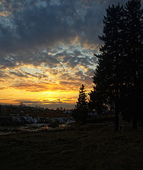 photo "***"