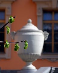фото "классика"