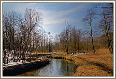 фото "12.04.2009"