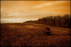photo "***"