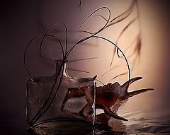 photo "***"
