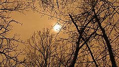 фото "Sun Spot"