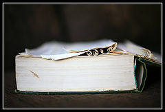 photo "Curly Book"