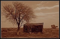 фото "Foreclosed"