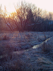 photo "Spring Sunrise"
