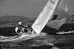photo "REGATTA"