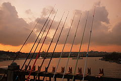 фото "Fishing Line"