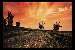 photo "***"