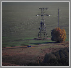 photo "***"