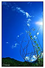фото "Experience the natural .."