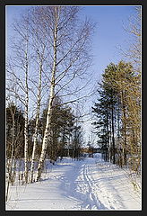 photo "***"