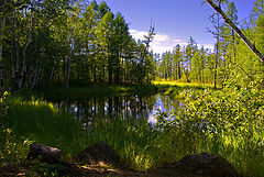 photo "Тихое летнее утро."