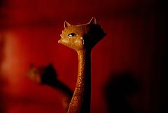 photo "cats"