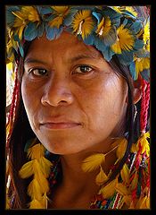 фото "Indian Tupi-Guarani"