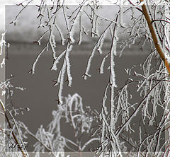 photo "***"