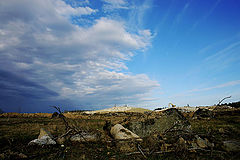 photo "***"