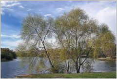 фото "Весна"