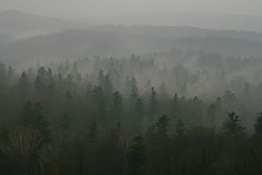 photo "***"