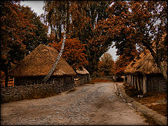photo "***"