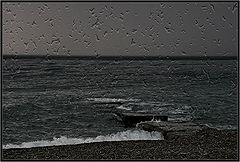 фото "Дождь приходит с моря...."