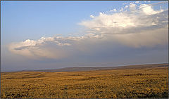 photo "***"