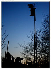 photo "***"