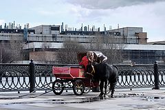 фото ","