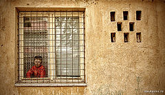 фото "Behind bars"
