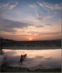 photo "***"
