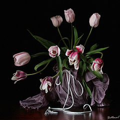 photo "***"